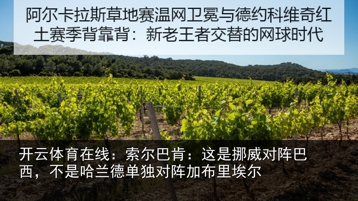 开云体育在线：索尔巴肯：这是挪威对阵巴西，不是哈兰德单独对阵加布里埃尔